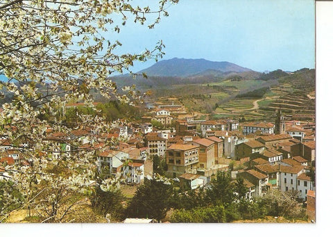 Postal 037216 : San Hilario Sacalm. Vista parcial