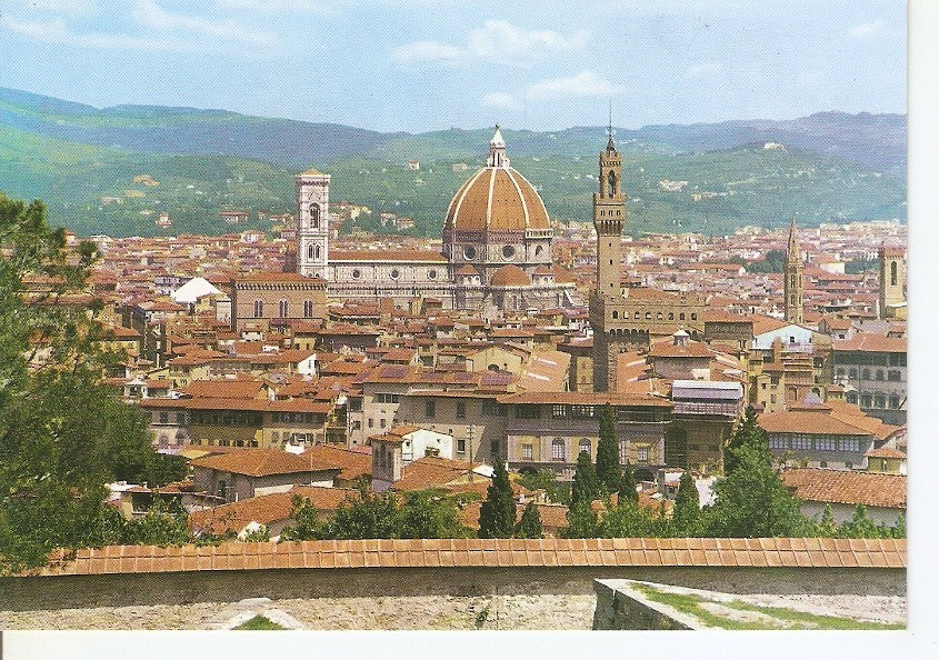Postal 046669 : Firenze. Panorama from Fort Belvedere