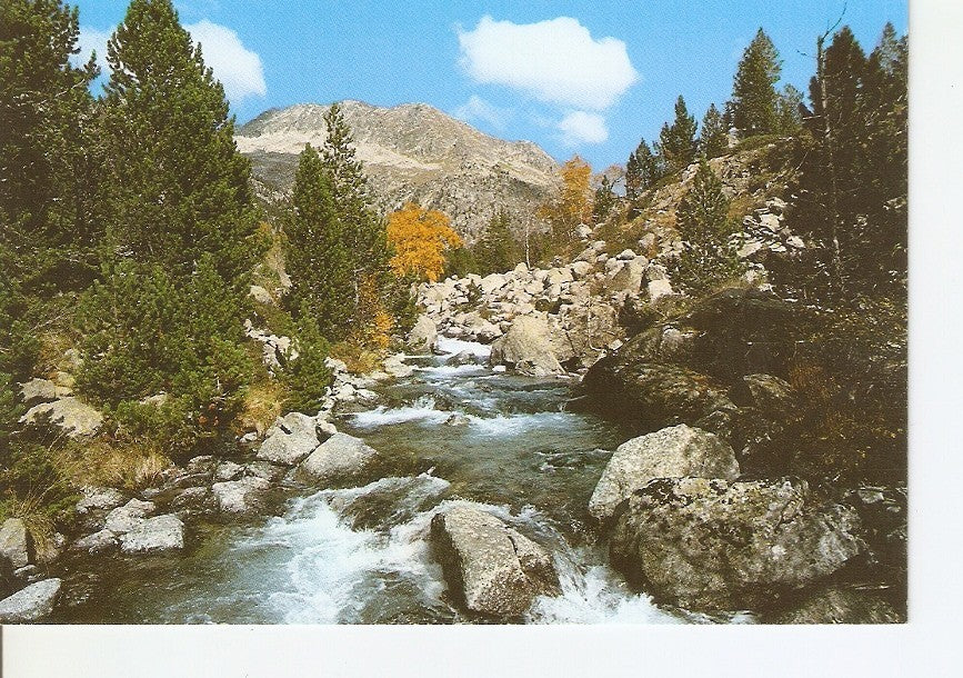 Postal 024501 : Riu Sant Nicolau Parc Nacional dAigues Tortes. Pirineu Catala