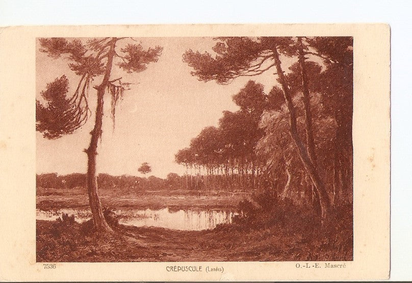 Postal 025290 : Crepuscule (Landes) Mascre
