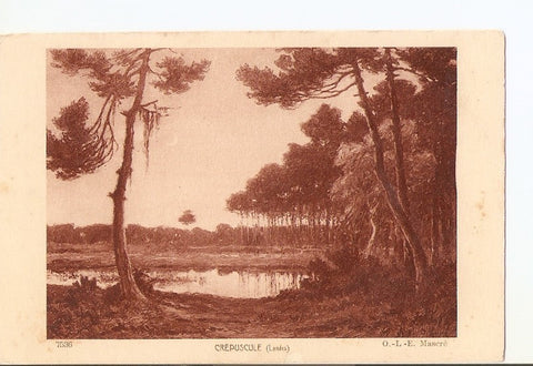 Postal 025290 : Crepuscule (Landes) Mascre