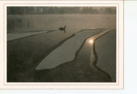Postal 020855 : Bodensee