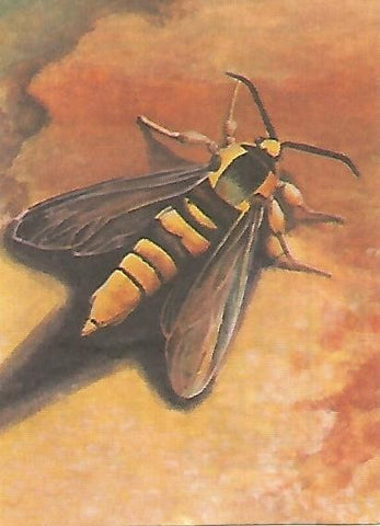 CROMO BIMBO - El Libro de las Adivinanzas no 229 - Mecanismos de defensa