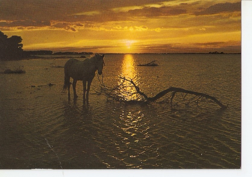 Postal 030261 : Coucher de Soleil