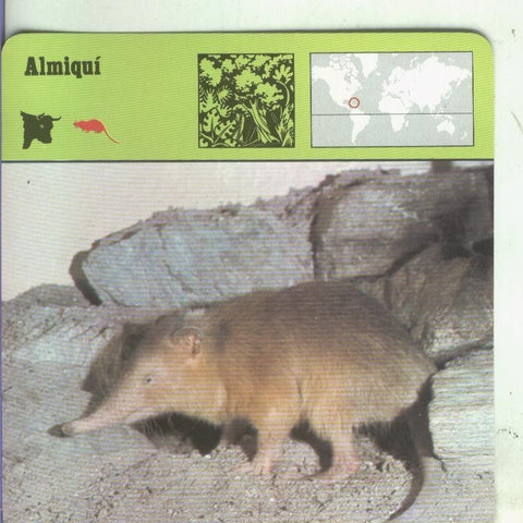 Postal: Ficha Sape Coleccionable: Almiqui