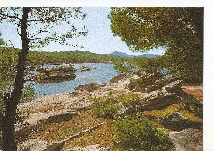 Postal 044782 : Menorca. Puerto de Fornells. Detalle. Al fondo Monte-Toro