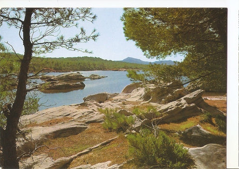 Postal 044782 : Menorca. Puerto de Fornells. Detalle. Al fondo Monte-Toro