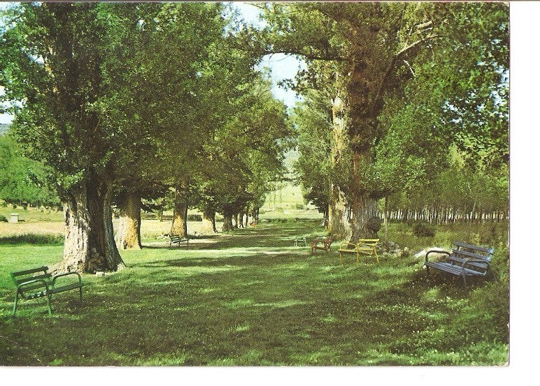 Postal 022524 : Alcala de la Selva (Teruel)