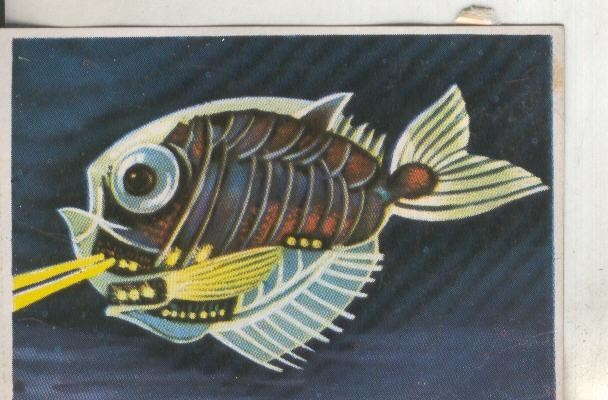 Cromos: Historia Natural numero 200