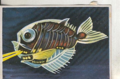 Cromos: Historia Natural numero 200