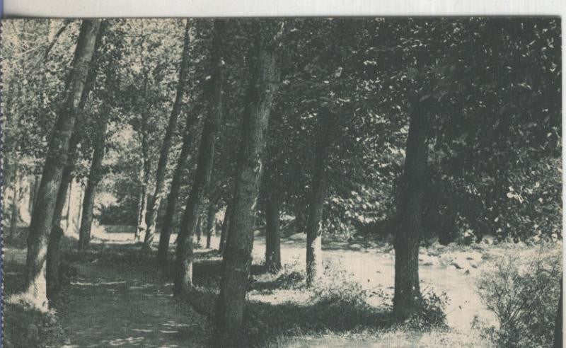 Postal  B/N 0127 : Vores del Fresser a Montagut en Ribas