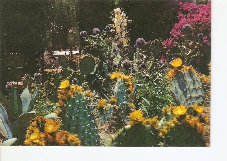 Postal 022301 : Jardin Botanico Mar i Murtra, Blanes - Costa Brava