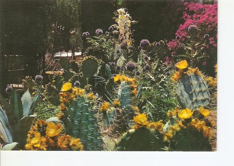 Postal 022301 : Jardin Botanico Mar i Murtra, Blanes - Costa Brava