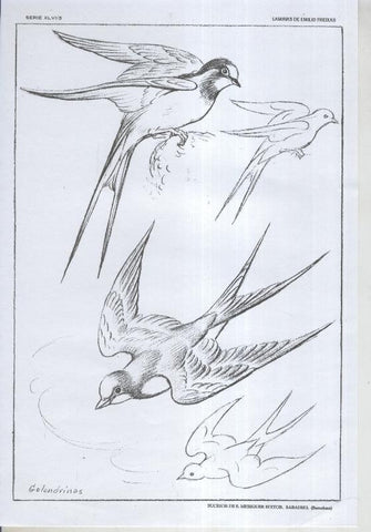 Emilio Freixas serie 46 lamina 05