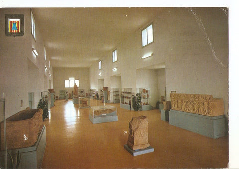 Postal 038402 : Ampurias (Gerona). Sala principal del Museo Monografico