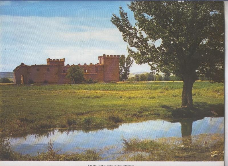 Castillo de Sotopalacios en Burgos