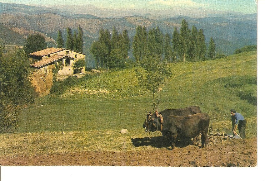Postal 028607 : Paisajes Españoles. Pirineos