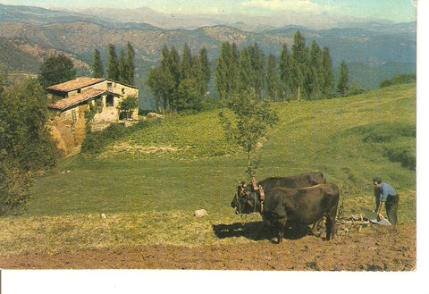 Postal 028607 : Paisajes Españoles. Pirineos