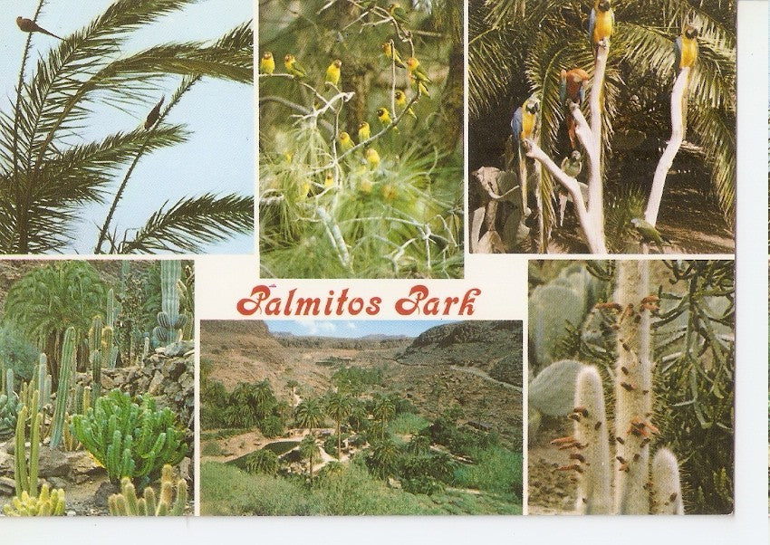 Postal 044774 : Palmitos Park. Las Palmas de Gran Canaria