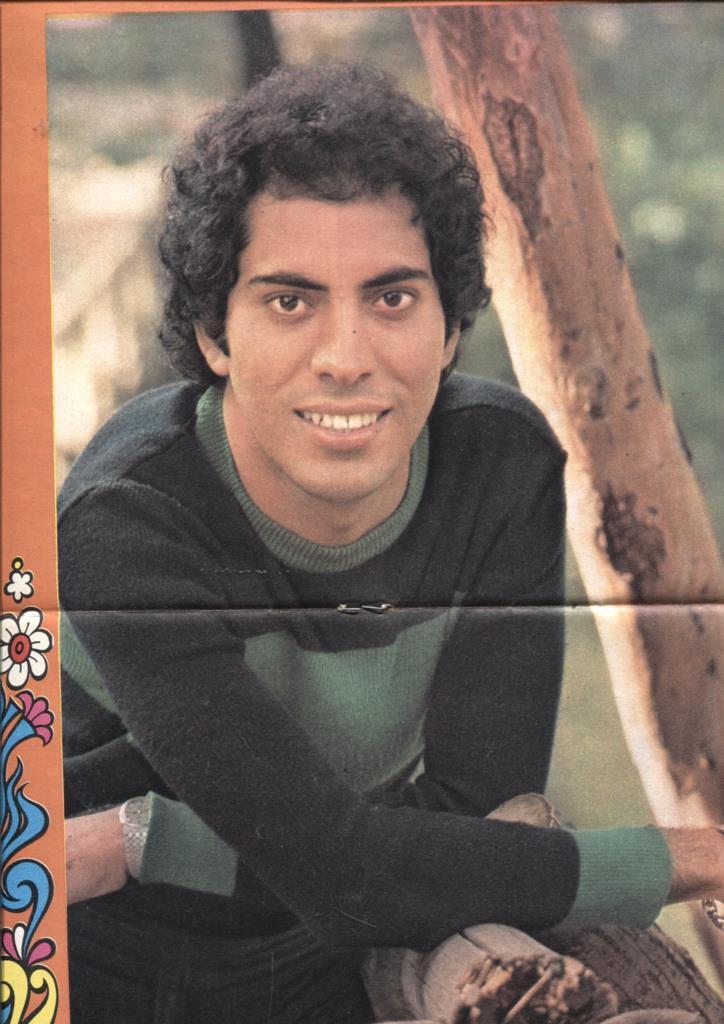 Lily numero 0755: poster central 26,5 x 37 cm de Jose Velez