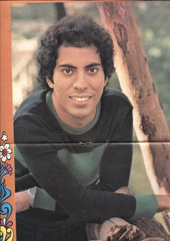 Lily numero 0755: poster central 26,5 x 37 cm de Jose Velez