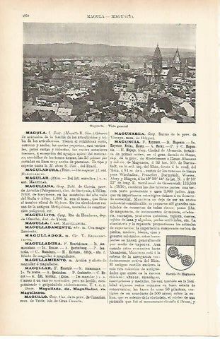 LAMINA ESPASA Alemania 3886: Vista general de Maguncia Alemania