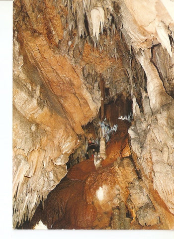 Postal 031369 : Exma. Diputacion Provincial de Leon cueva de Valporquero. Gran Colada Roja