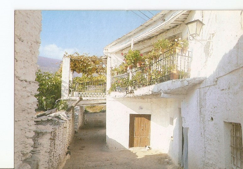 Postal 022648 : Calle tipica de Las Alpujarras (Granada)