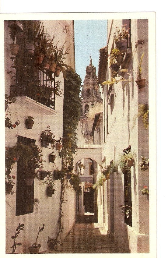 Postal 029842 : Cordoba La calleja de las flores