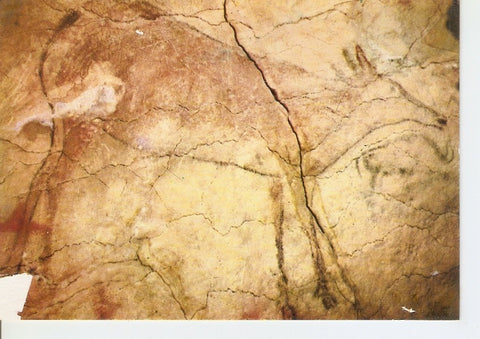 Postal 045624 : Ciervo. Cueva de Altamira. Santillana del Mar. Santander