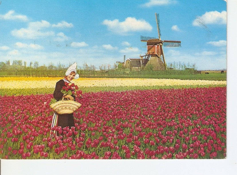 Postal 032926 : Holland. Land of Flowers and Wind-mills