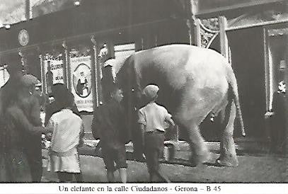 POSTAL 55017: Gerona. Calle Ciudadanos años 20