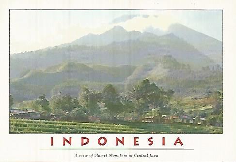 POSTAL 55339: INDONESIA. Monte Slamet en Java