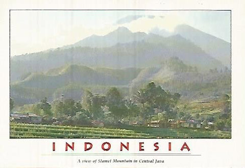POSTAL 55339: INDONESIA. Monte Slamet en Java