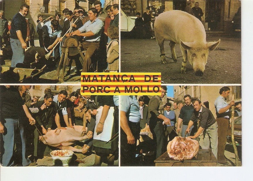 Postal 023546 : Matanza del cerdo tipica del Pirineo Mollo (Girona)