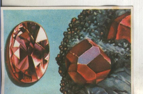 Cromos: Historia Natural numero 084