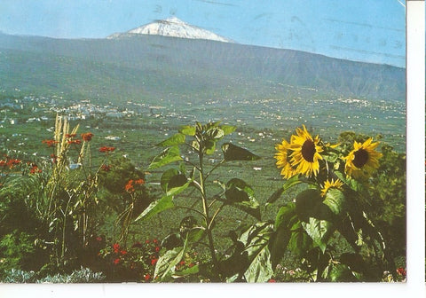 Postal 045191 : Tenerife. Valle de la Orotova y Teide