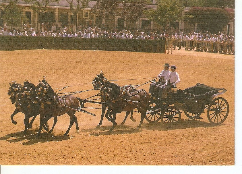 Postal 043454 : El caballo en Andalucia