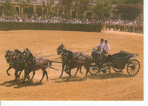 Postal 043454 : El caballo en Andalucia