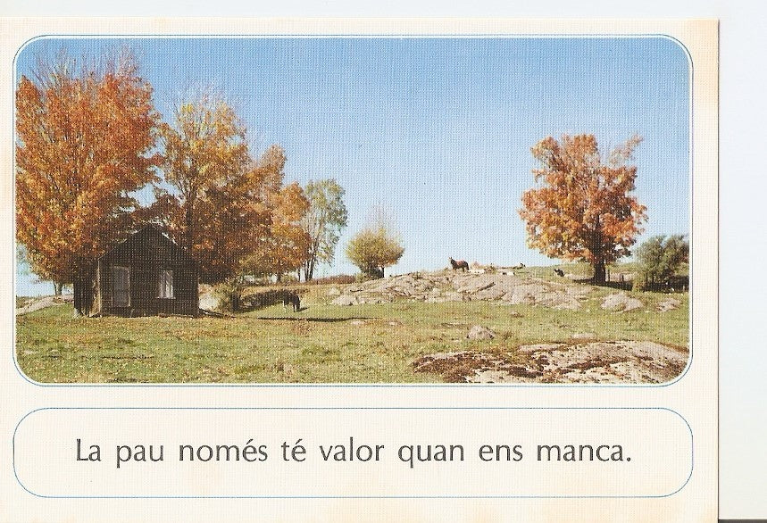 Postal 030587 : Casa en la montaña