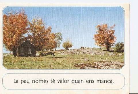 Postal 030587 : Casa en la montaña