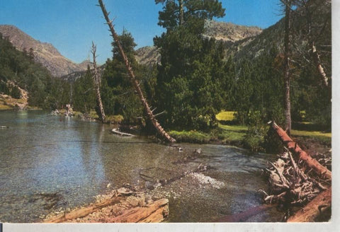 Postal 011959: Parque Nacional aigues tortes en valle de Bohi