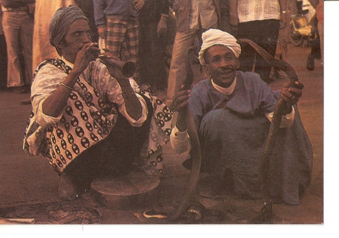 Postal 034042 : Maroc Infini - Les Charmeurs de Serpents