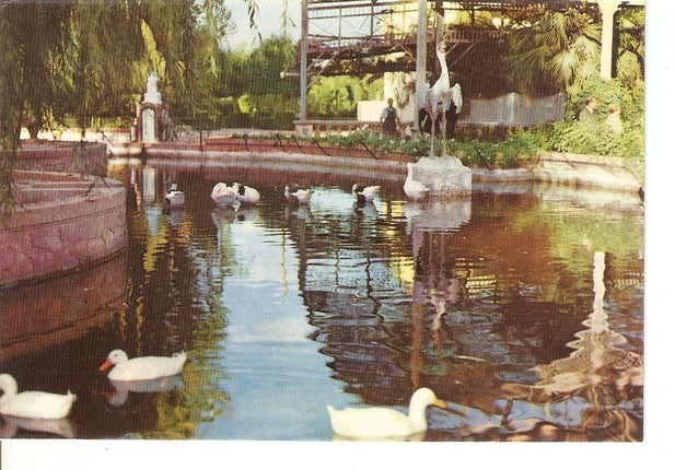 Postal 047146 : Valencia. Jardines del Real Estanque