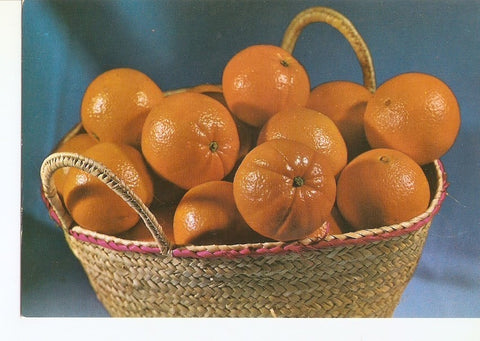 Postal 029284 : Valencia. Naranjas