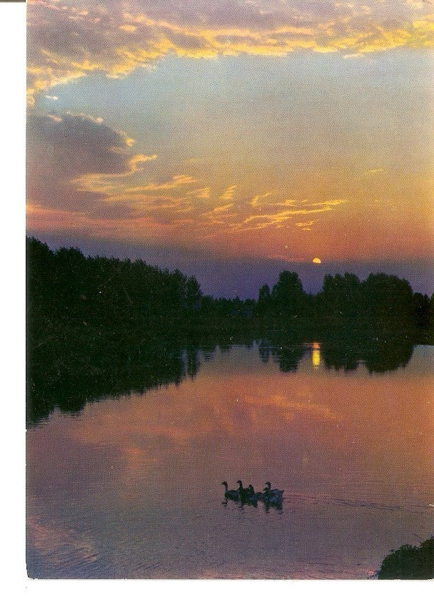 Postal 035628 : Atardecer