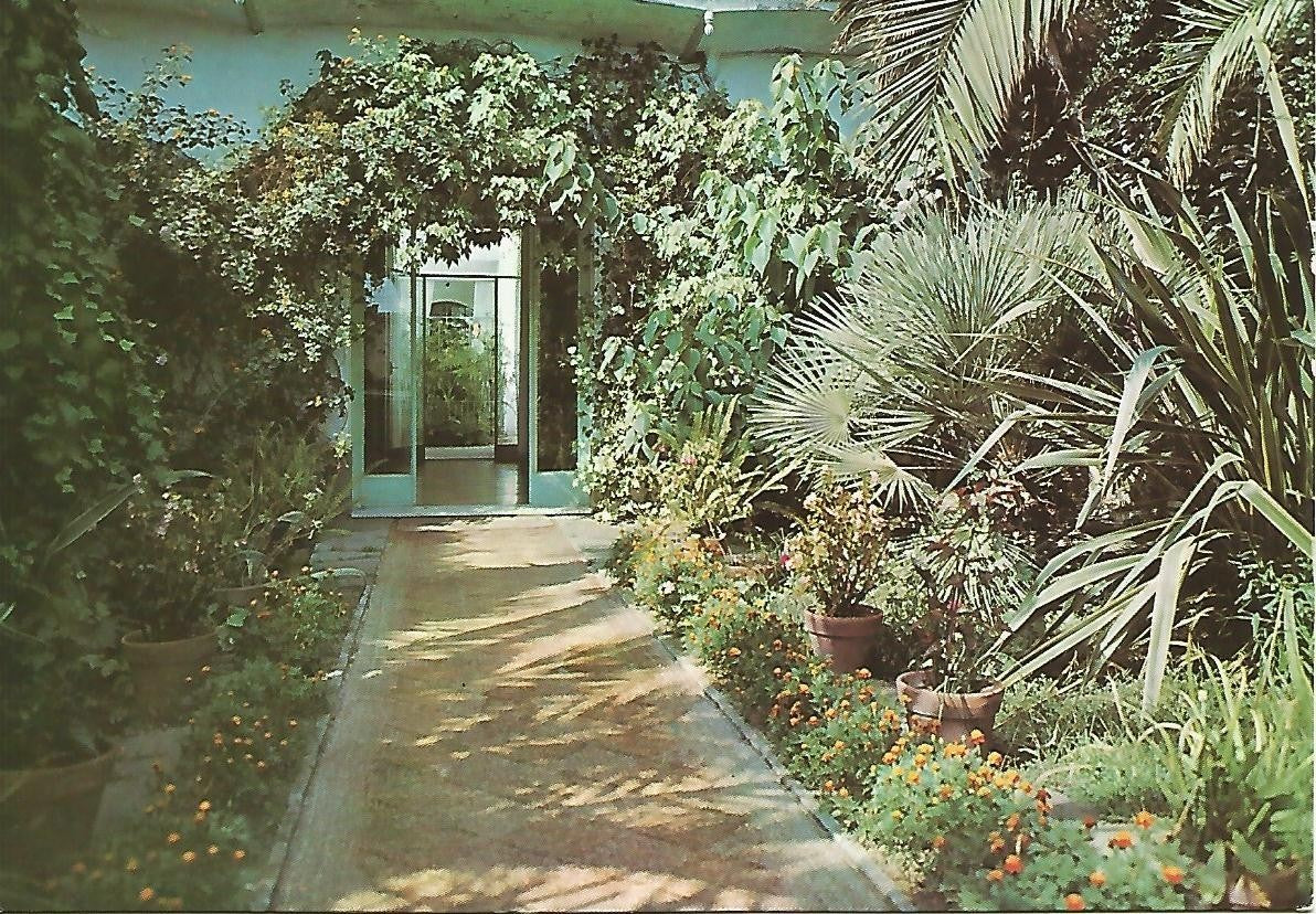 Postal 50120: PREMIA DE MAR - Hotel Palmar