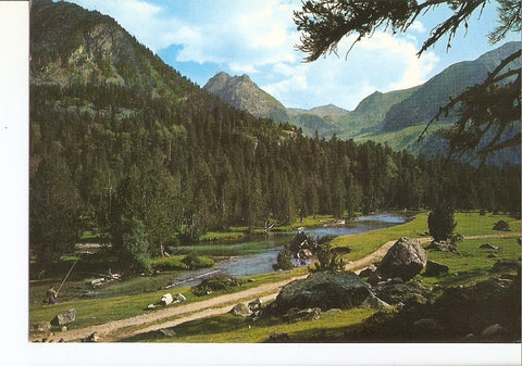 Postal 030665 : Rio en el bosque