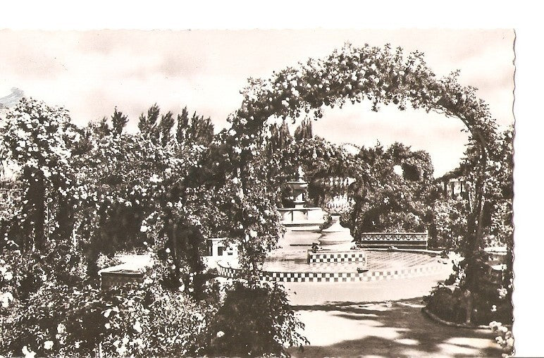 Postal 036510 : Valencia - Jardines del Real Rosaleda