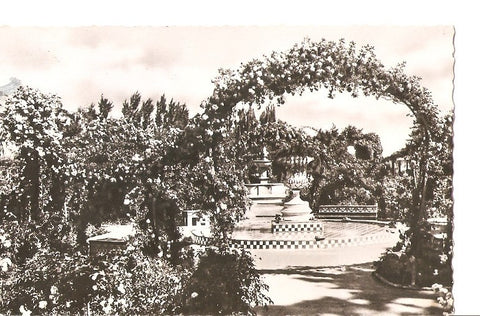 Postal 036510 : Valencia - Jardines del Real Rosaleda